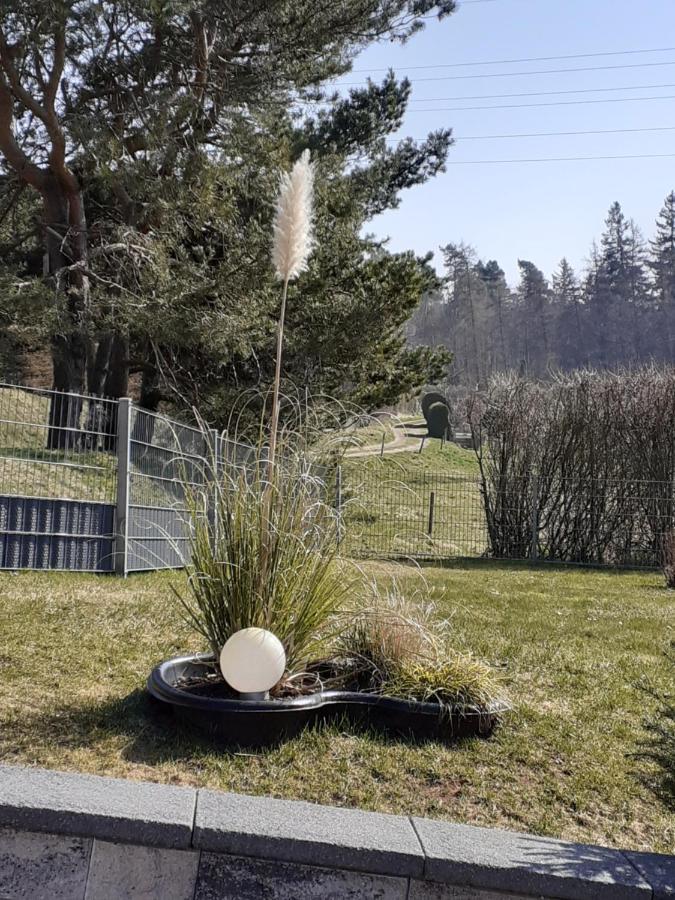 Ferienwohnung Am Wald Catterfeld Exteriör bild
