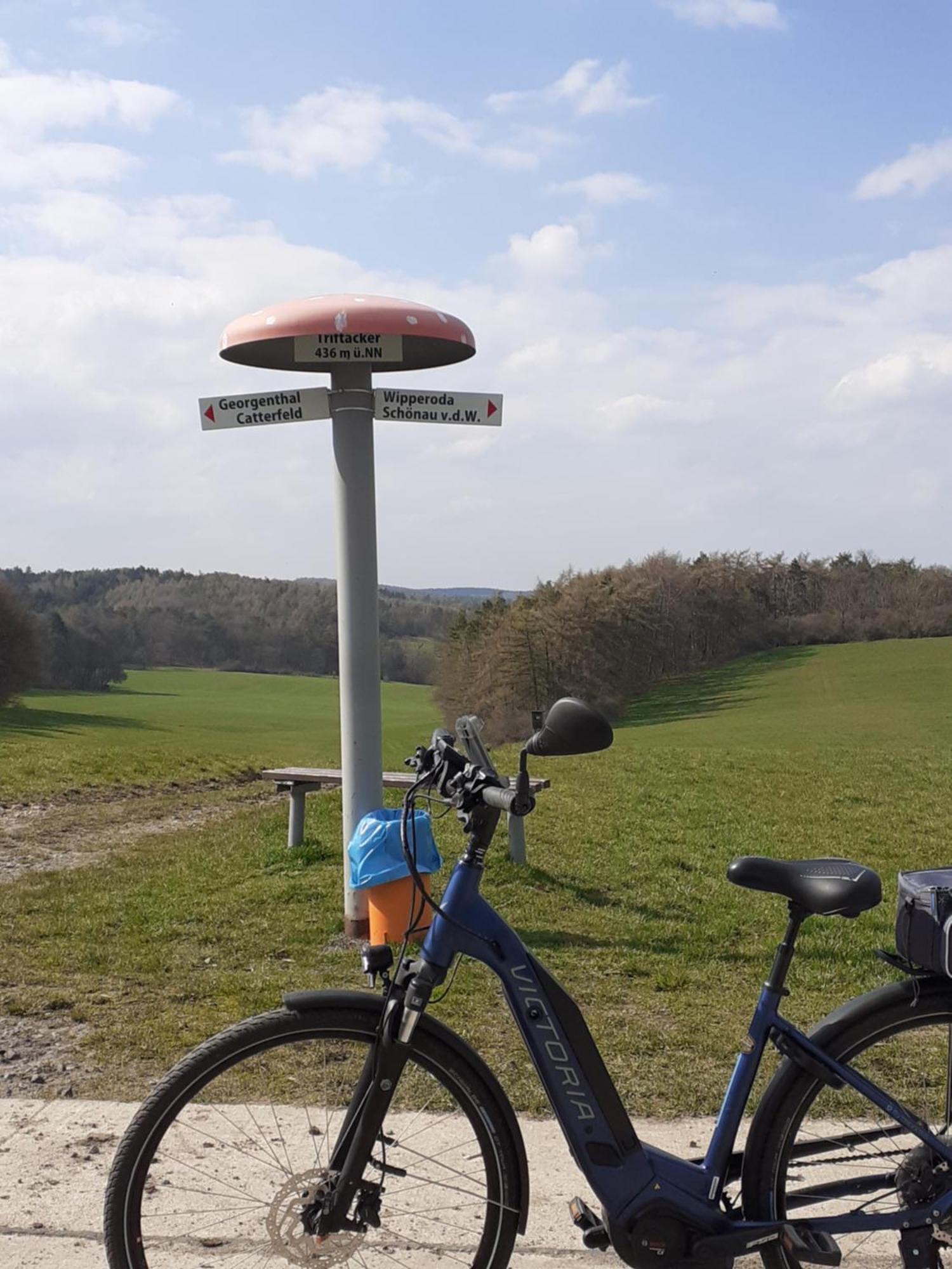Ferienwohnung Am Wald Catterfeld Exteriör bild